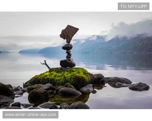 跳水裁判打出满分:在精彩与公正之间的平衡艺术 跳水裁判打出满分:在精彩与公正之间的平衡艺术